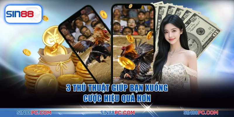 Đá gà SIN88 3 3 thủ thuật giúp bạn xuống cược hiệu quả hơn
