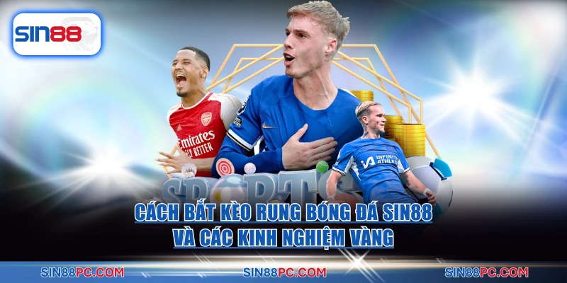 Cách Bắt Kèo Rung Bóng Đá Sin88 Và Các Kinh Nghiệm Vàng 1 cách bắt kèo rung bóng đá