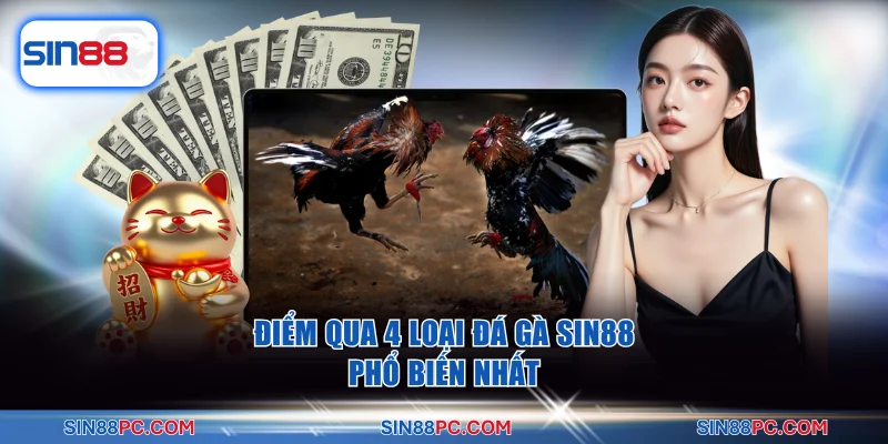 Đá gà SIN88 1 Điểm qua 4 loại đá gà SIN88 phổ biến nhất