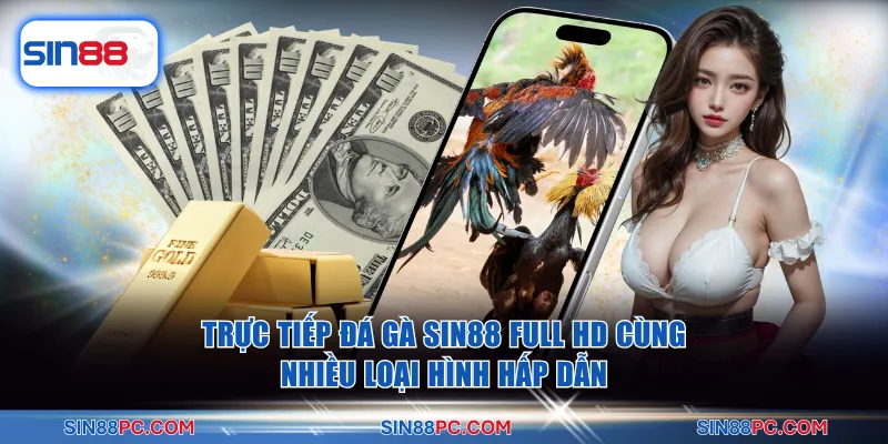 Phát sóng trực tiếp các trận đấu đá gà từ các trường gà uy tín